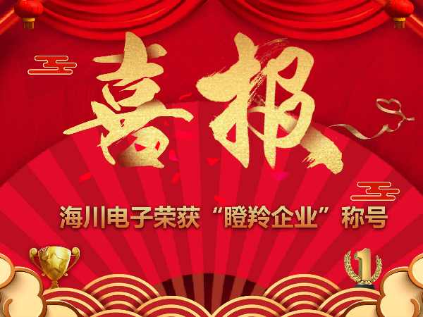 喜報！恭喜海川電子榮獲江蘇省“瞪羚企業(yè)”稱號